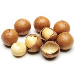 Noci Macadamia con guscio confezioni da 1 kg 